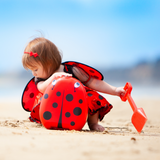 MY CARRY POTTY | LADYBUG