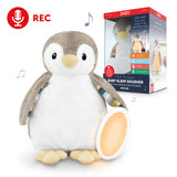 ZAZU | PHOEBE THE PENGUIN | BABY SLEEP SHUSHER WITH VOICE RECORDING